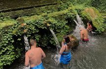 Spiritual Cleansing Ritual and Shamanic Healing in Bali