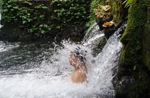 Spiritual Cleansing Ritual and Shamanic Healing in Bali