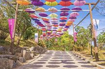 Seasonal Pocheon Full Day Tour with Apple Farm Experience