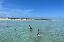 Half Day Eco and Dolphin Boat Tour in Siesta Key 