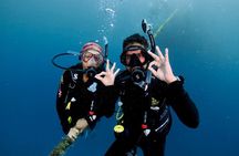 Blue Dive Private Guided Scuba Dive Cairns