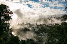 Rotorua Cultural Small Group Afternoon Tour
