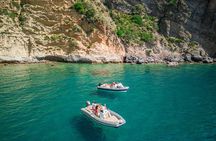 Full Day Capri & Sorrento by Inflatable Boat from Naples