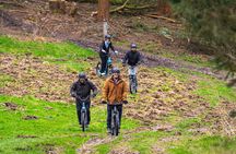 Explore Nature with All-Terrain E-Scooters 