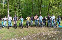 Explore Nature with All-Terrain E-Scooters 