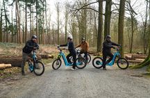 Explore Nature with All-Terrain E-Scooters 