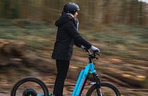 Explore Nature with All-Terrain E-Scooters 