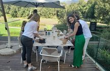 Full Day Stellenbosch, Franshoek &Paarl Wine Tasting Private Tour
