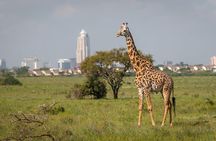 Day Trip to Nairobi National Park