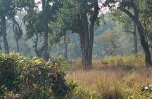 2 Night 3 Days Chitwan Jungle Safari Tour from Kathmandu