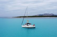 Asinara: Sailing trip in the park of Asinara