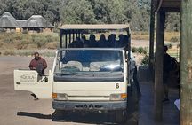 Aquila Safaris Park with Transportation and Lunch private tour