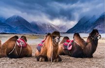Leh Ladakh Private Tour Packages for 6 Days 5 Nights