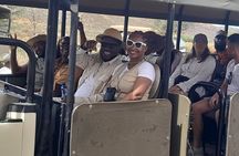 Aquila Safaris Park with Transportation and Lunch private tour
