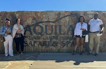 Aquila Game Safari with Transportation and Lunch private tour