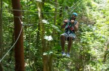 Mystic Mountain Zipline with Bobsled & Raggamuffin