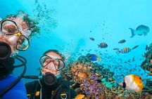 Diving experience in Polignano a Mare with certification