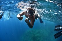 L'Estartit: Snorkeling in the Medes