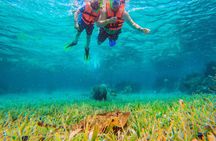 Coral Reef Snorkeling Expedition from Cancun with Beachside Lunch