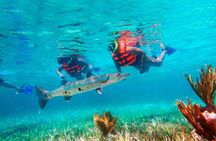 Puerto Morelos Snorkel, Town Walk, Tequila Tasting & Beach Lunch