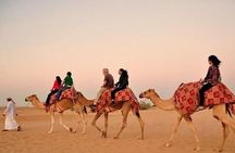 Desert Safari with BBQ Dinner, Camel Ride, Sand Board & Live Show