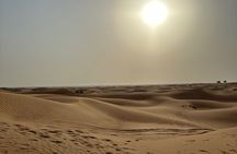Desert Safari , Camel Ride and VIP Camp with BBQ Dinner , Dubai