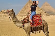 Over Day Cairo by Bus Pyramids and Museum from Sharm el Sheikh