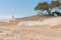 White Desert and Bahariya Oasis 2 Days Tour from Cairo