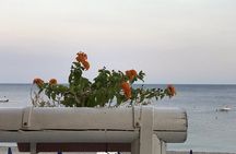 Ras Al Khaimah: Flamingo Beach Tour near Dubai