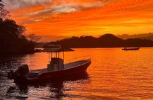 Bioluminescence Tour, Speedboat, Camping From Puntarenas
