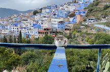 Small Group Day Tour from Fes To Chefchaouen