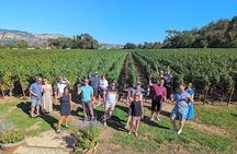 Napa Valley Small-Group Wine Tasting Tour via San Francisco Ferry
