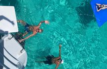 Catamaran Day Sail