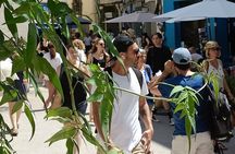 Guided tour of the Historic Center of Avignon