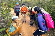 Small Group Hike Through San Diego's Heart and Soul