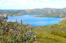 Small Group Hike Through San Diego's Heart and Soul