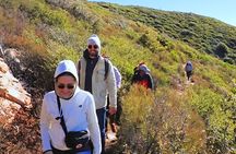 Small Group Hike Through San Diego's Heart and Soul
