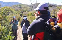 Small Group Hike Through San Diego's Heart and Soul