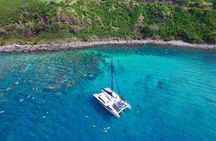 Summer Morning Express Snorkel Adventure off Ka'anapali Beach