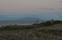 Tawharanui Wild Kiwi Bird Spotting Encounter