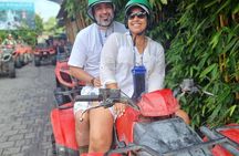 Full Day Tour, One day tour service local areas