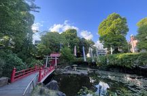 Walking Tour in Yanaka Nezu and Sendagi: Tea Ceremony & Old Tokyo