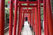 Walking Tour in Yanaka Nezu and Sendagi: Tea Ceremony & Old Tokyo