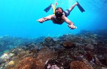 Nusa Penida 4 Spot Snorkeling with Manta and Island Tour