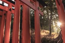 TREASURES of Kyoto: Fushimi Inari, Kiyomizu Temple, and more! 