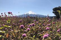 Mount Fuji Full Day Sightseeing Tour from Tokyo