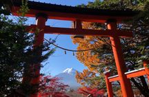 Mount Fuji Full Day Sightseeing Tour from Tokyo