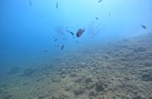 Chania Guided Snorkeling and Boat Excursion