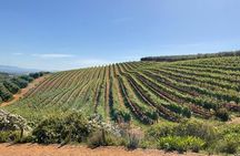 Full Day BIG 5 Private Tour of the Aquila Game and Wine testing