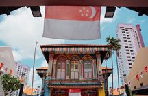 Private Singapore Walking Tour with a Local- Half day or Full Day